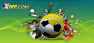 Giới thiệu chi tiết về msports xvip