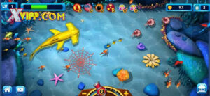 Ưu đãi giá trị cho mọi người tham gia