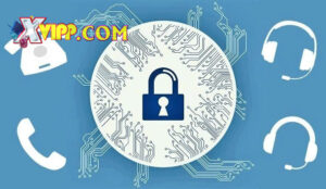 Liên hệ xvip luôn hỗ trợ 24/7