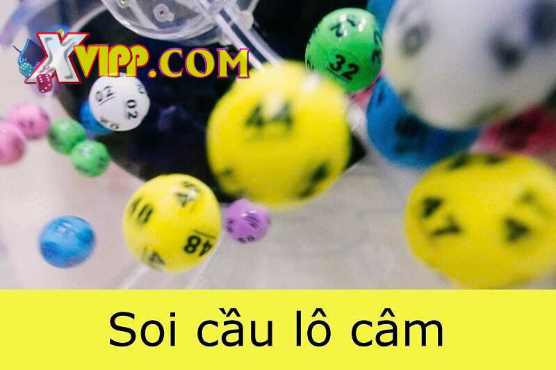 Nhiều lợi ích khi chơi lô câm xvip